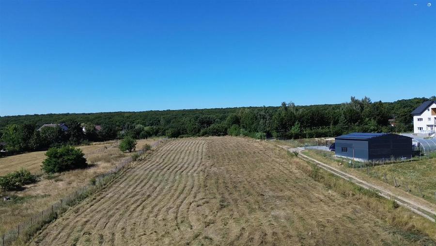 Teren Construcții intravilan de 6200 mp, în Mitocu Dragomirnei