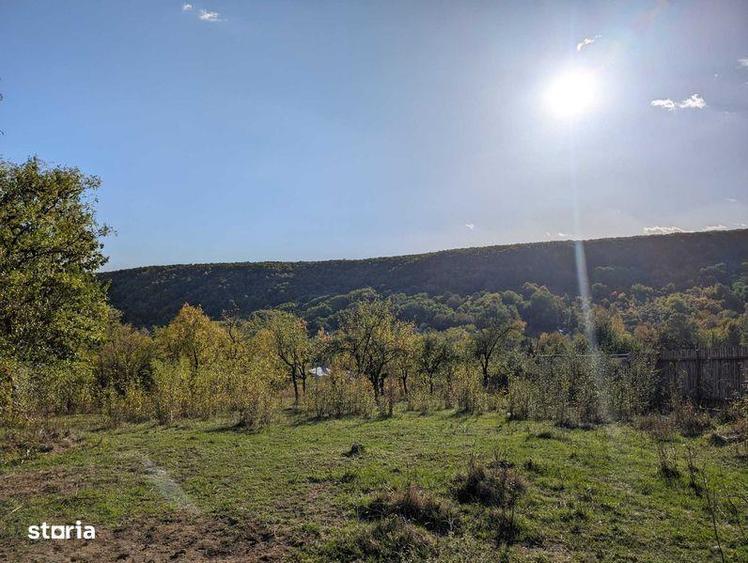Teren de 1946 mp, în Vâlcănești
