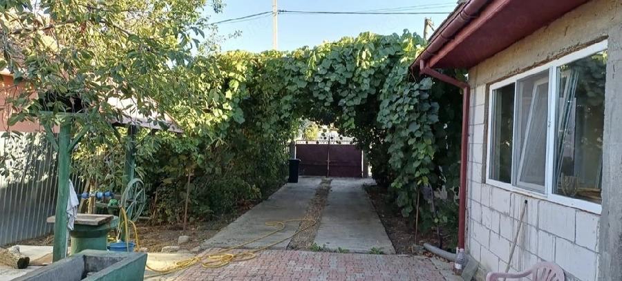 Casă cu 3 camere cu Teren 900 Mp în Terpezița