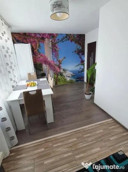 Apartament cu 2 camere semidecomandat în Transilvaniei