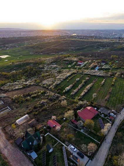 Teren Construcții intravilan de 900 mp, în Vișani