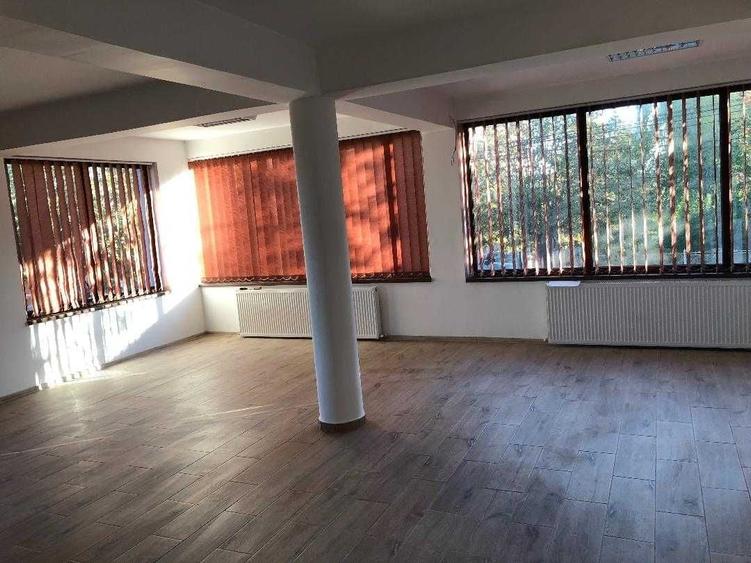 Spațiu comercial, de 50 mp, în Central