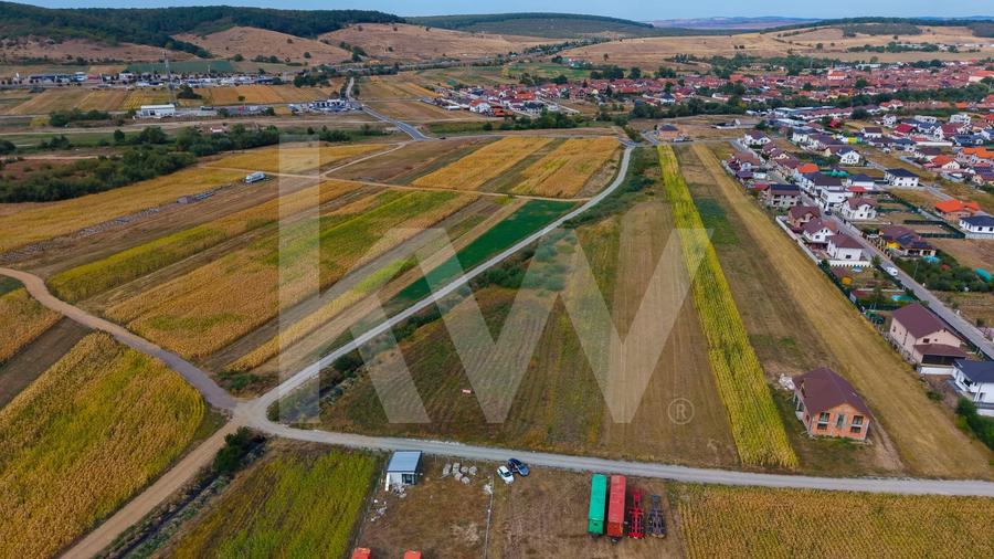 Teren Construcții intravilan de 3752 mp, în Cristian