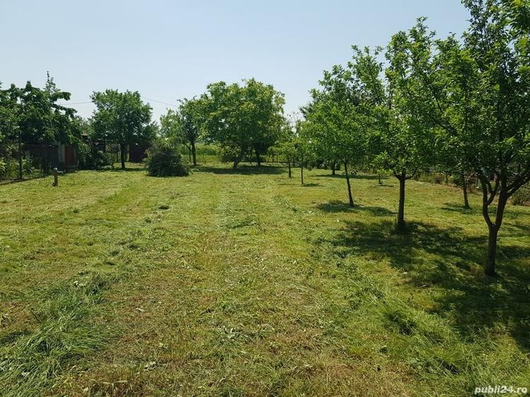 Teren de 600 mp, în Careiului