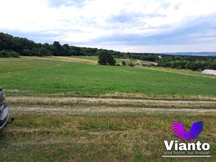 Teren agricol extravilan de 6200 mp, în Rășinari