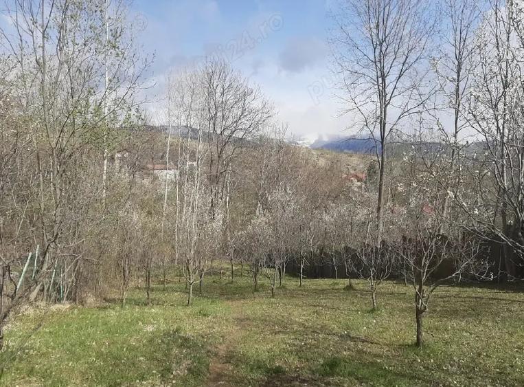 Teren de 873 mp, în Central