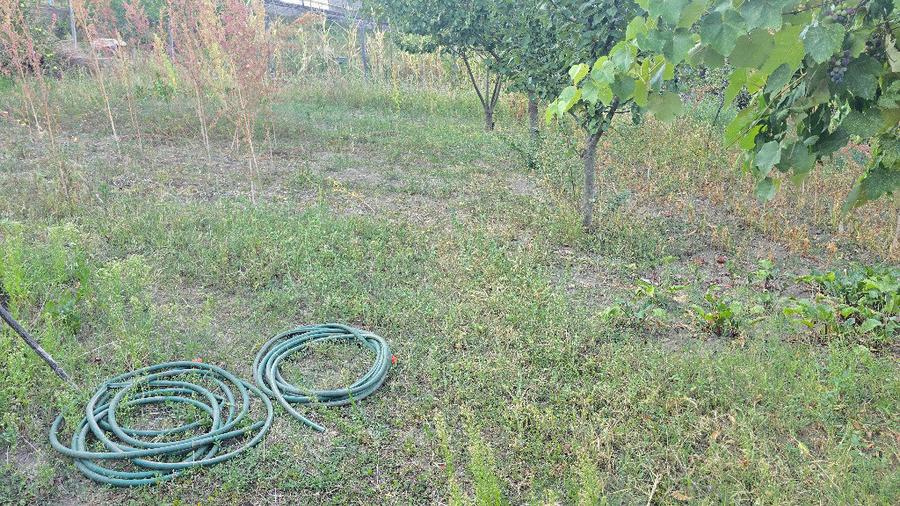 Vand casa in Deva, zona Viile Noi, suprafata totala de teren de 766 mp - 10