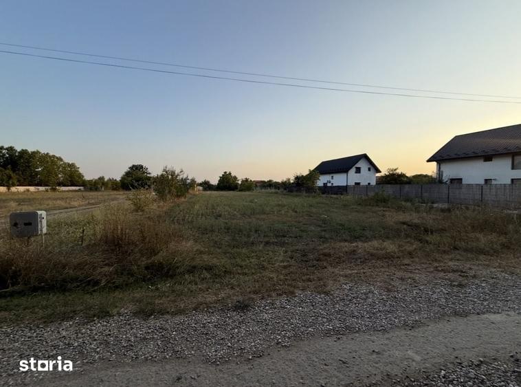 Loturi de vanzare Balotesti- strada prelungirea Fieni. Langa padure - 2