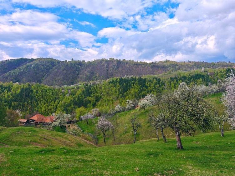 Casă cu 4 camere în Luncani