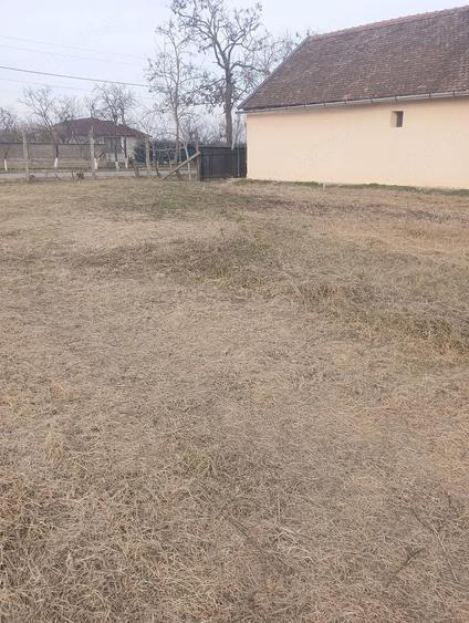 Teren de 1500 mp, în Bicaci