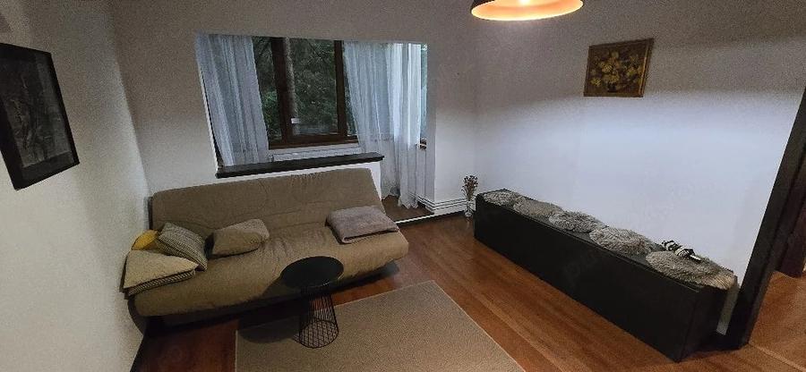 Apartament cu 2 camere semidecomandat în Take Ionescu