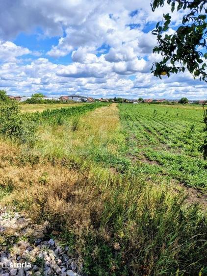 Teren intravilan, 2296 mp, zona Jucu de Mijloc - 1
