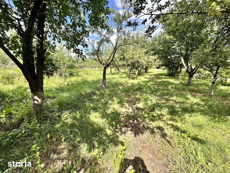 Casă cu 5 camere cu Teren 1800 Mp în Homorâciu