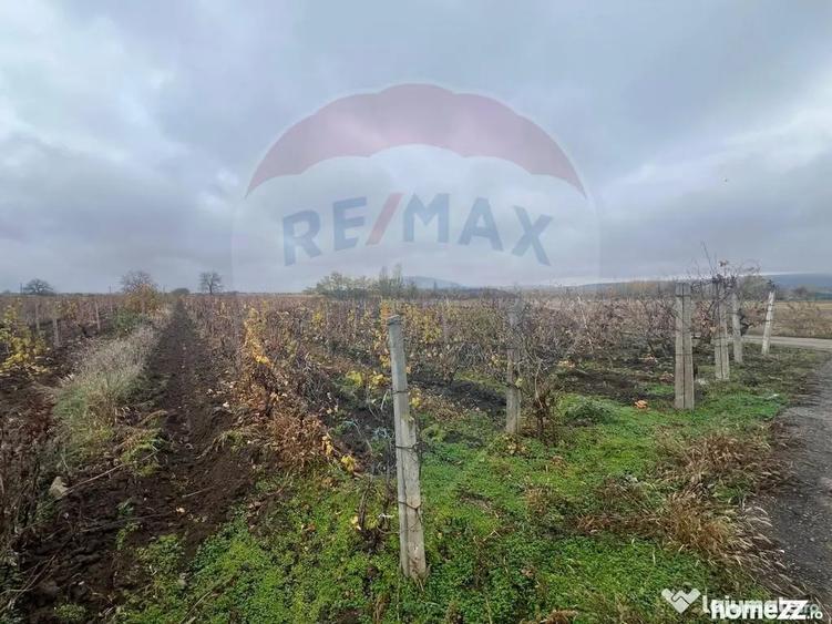 Teren de 2727 mp, în Cârligele