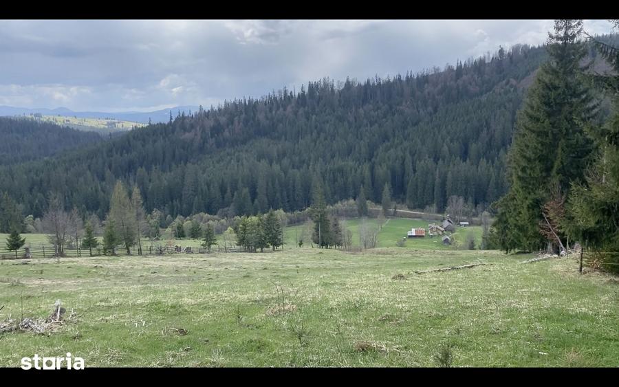 Teren de 55000 mp, în Coșna