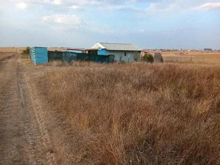 Proprietar - Vand 500 mp teren intravilan in Lazu, jude?ul Constan?a, deschidere 22 m,fara utilita?i - 8