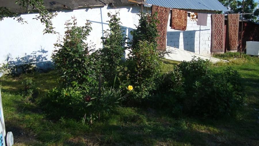 Casă cu 3 camere cu Teren 2287 Mp în Slobozia