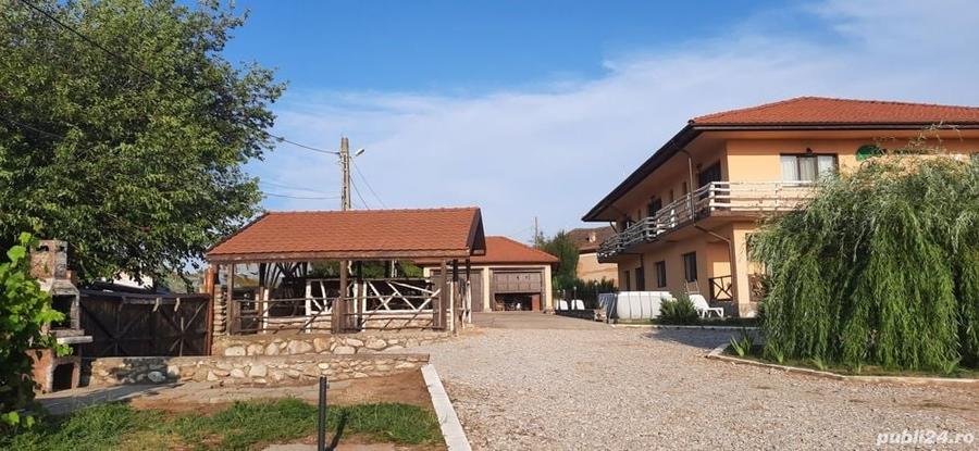 Spațiu comercial, de 400 mp, în Crivina