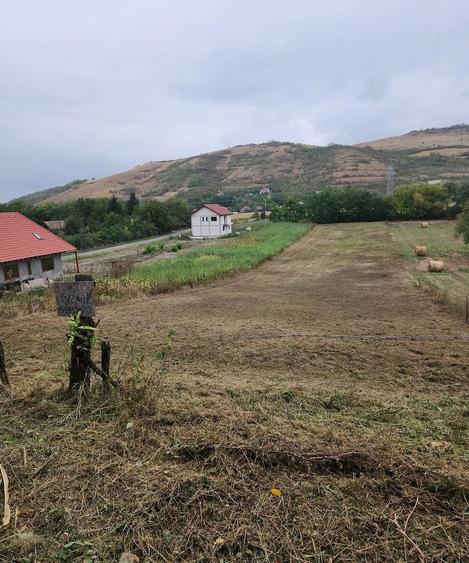 Teren de 2900 mp, în Căianu