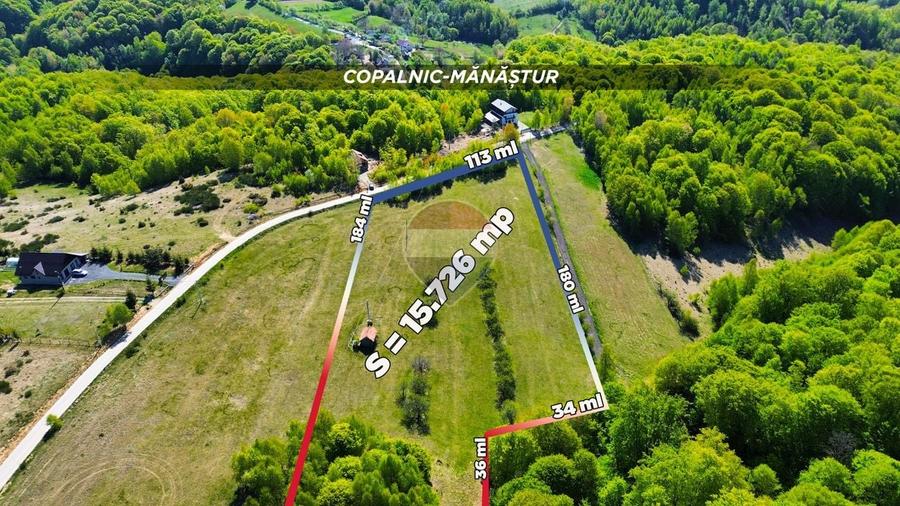 Teren agricol extravilan de 15726 mp, în Preluca Nouă
