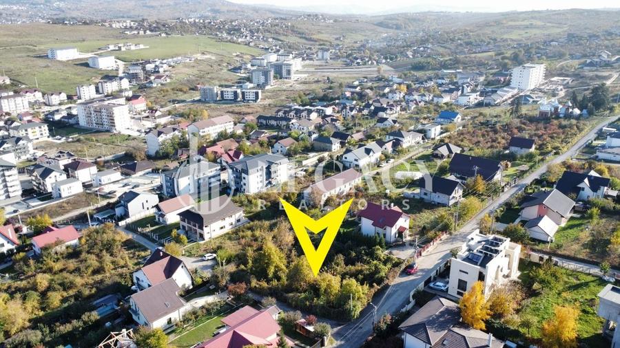 Teren Construcții intravilan de 1475 mp, în Vișan