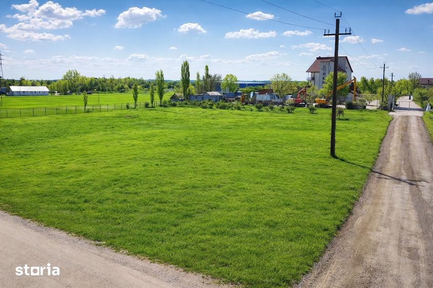 Teren de 2495 mp, în Cornetu