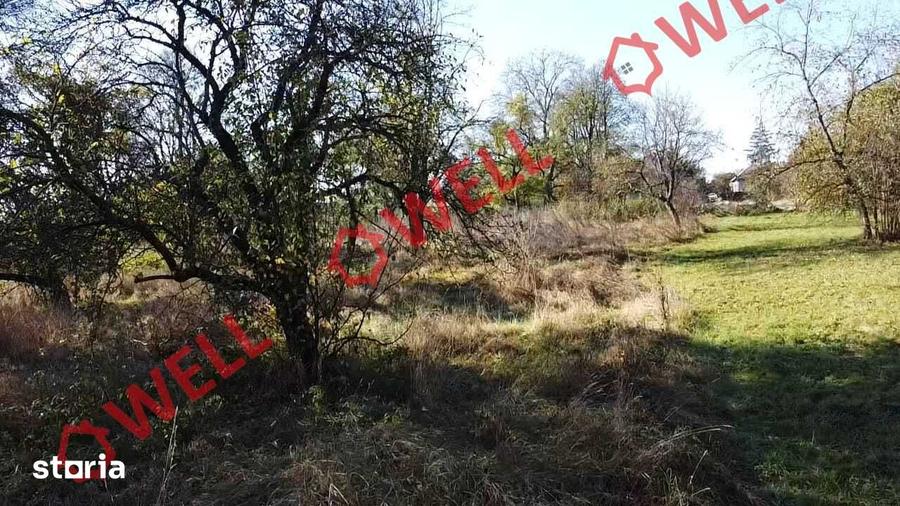 Casă cu 3 camere cu Teren 5213 Mp în Cernat