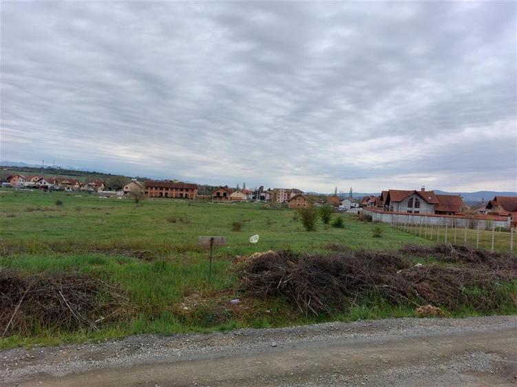 Teren Construcții intravilan de 4935 mp, în Periferie
