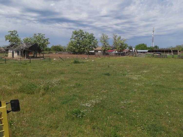 Teren intravilan de 2300 mp, în