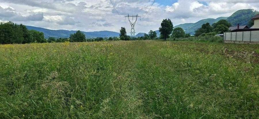 Spațiu comercial, în Vad