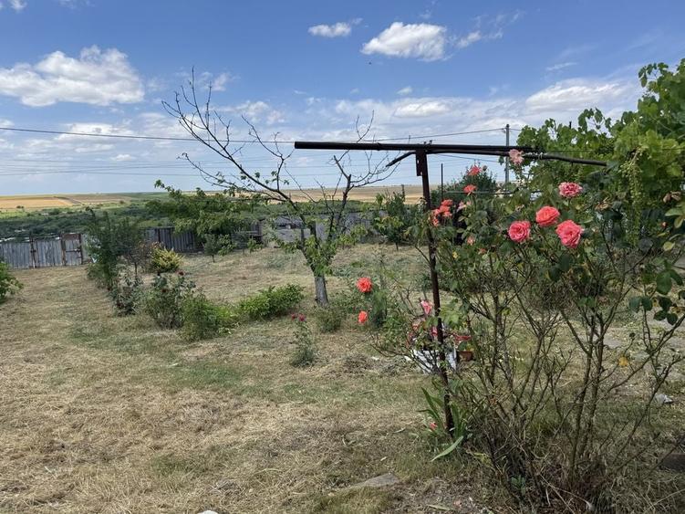 Teren de 1200 mp, în Odaia Manolache