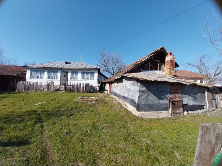 Casă cu 2 camere în Central
