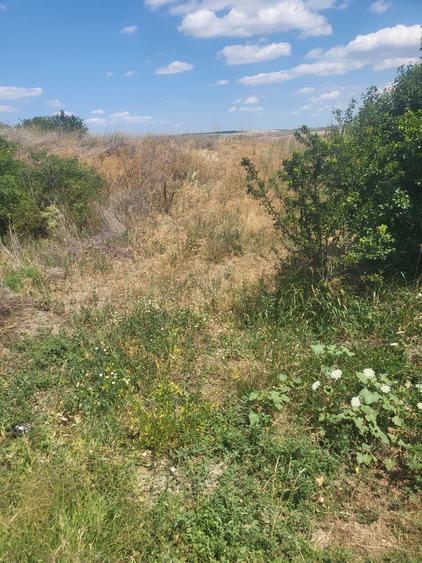 Teren de 22000 mp, în Podu Turcului