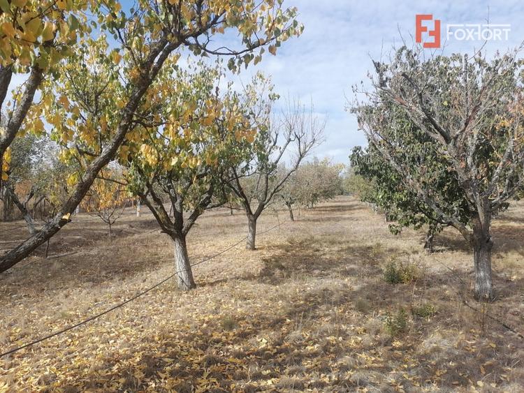 Casă individuală cu 7 camere cu Teren 4316 Mp în Bogda