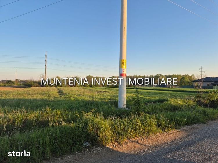 Teren de 3533 mp, în Poiana Lacului