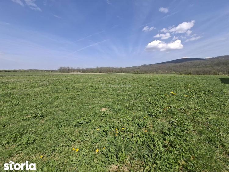 Teren de 500 mp, în Valea Aurie