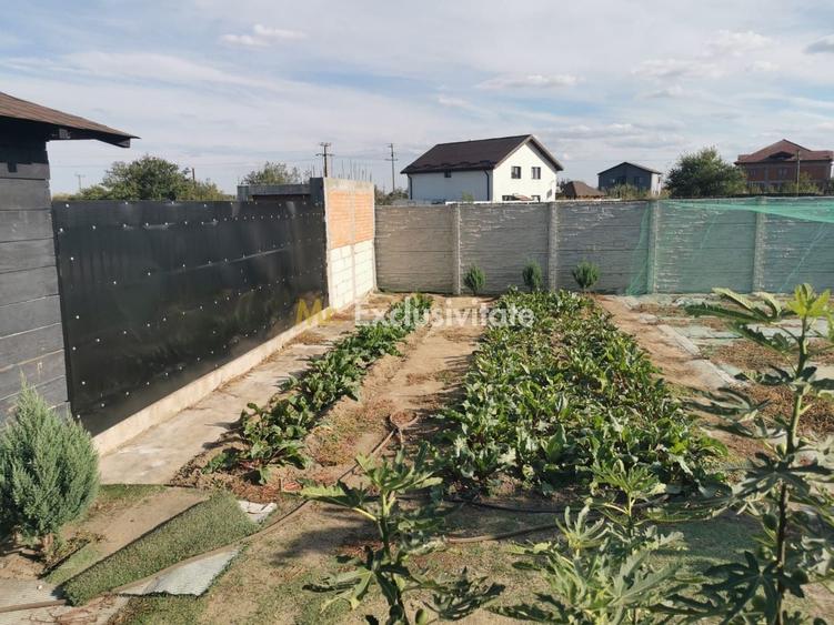 Teren Construcții intravilan de 196 mp, în Cernele