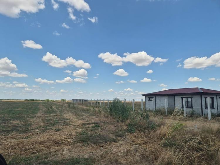 Teren Construcții extravilan de 6500 mp, în Frumușani