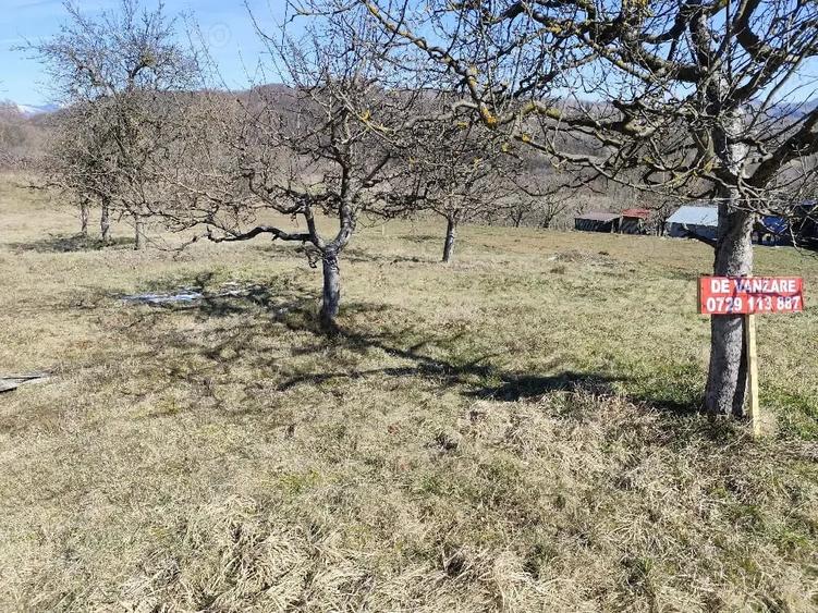 Teren de 1457 mp, în Micloșanii Mari