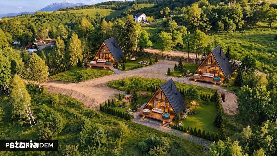 Teren de vanzare, 7300 mp, acces pavat - 11