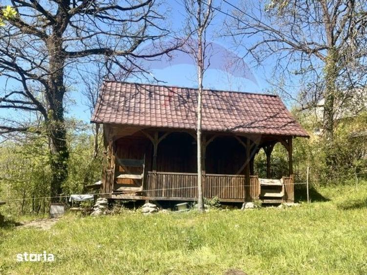 Casă cu 3 camere cu Teren 6039 Mp în Desești