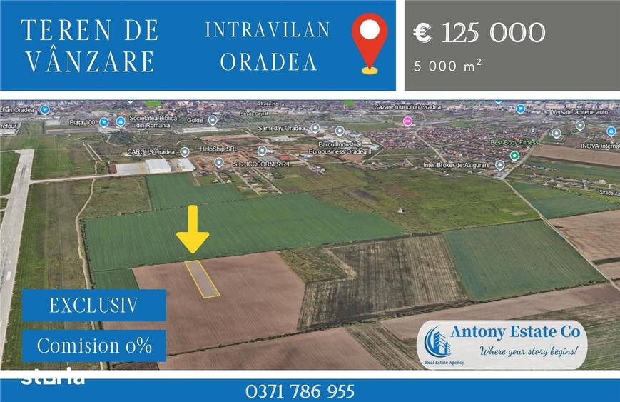 Teren de 5000 mp, în Centura