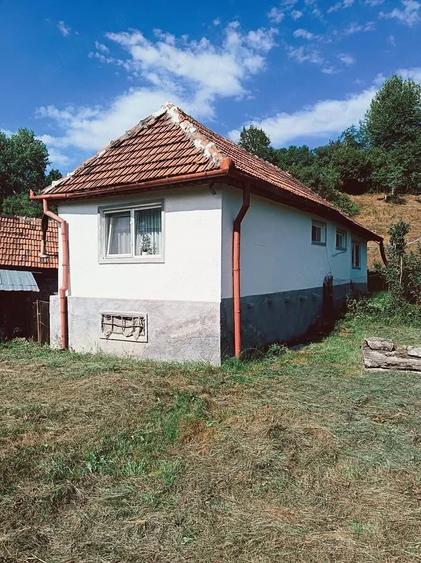 Casă cu 2 camere cu Teren 10000 Mp în Central