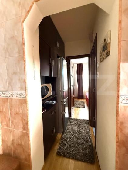 Apartament de vazare, 48 mp, Cartierul Dâmbu Pietros - 10