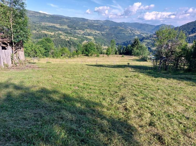 Teren de 5353 mp, în Horea