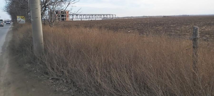 Teren agricol intravilan de 4.5 mp, în Brăilei