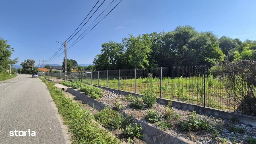 Teren de 3175 mp, în Peștișani