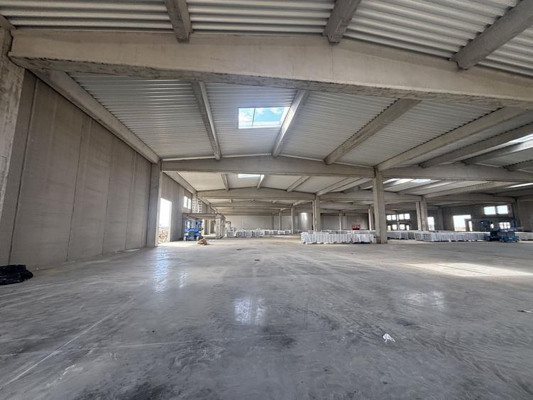 Spațiu industrial, de 523 mp, în Sânandrei