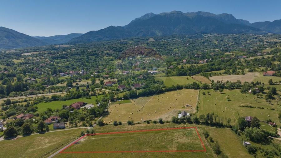 Teren Construcții intravilan de 6900 mp, în Bran
