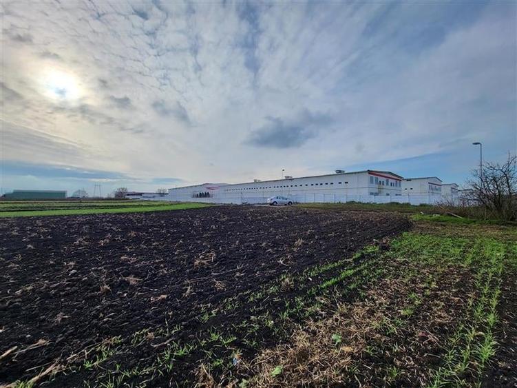 Teren Construcții extravilan de 28100 mp, în Hălchiu